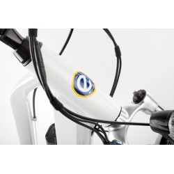 BiClou Lutecia 28" - Taille M - Vélo électrique de ville